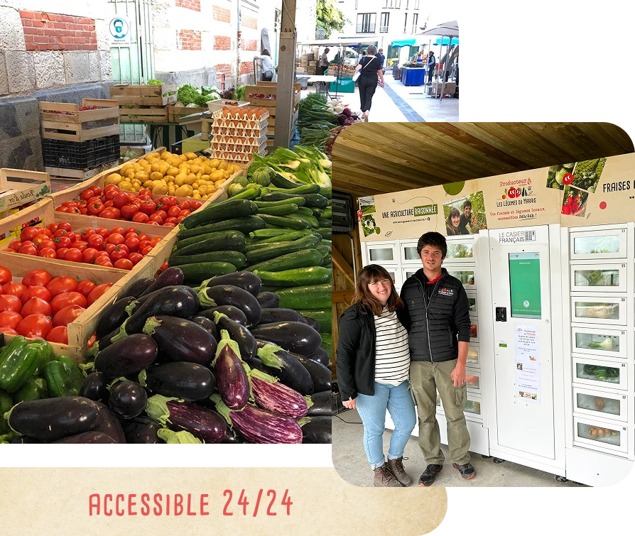 producteur légumes et fraises Chaillé-les-Marais