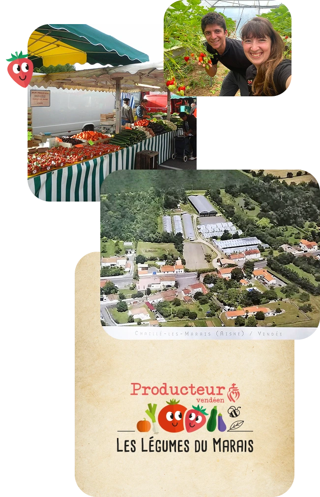 ferme maraîchère Chaillé-les-Marais